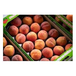 Pêche roussanne - plateau de 2,5 kg env.