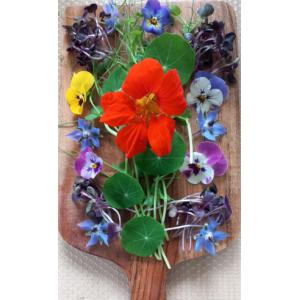 Planche apéro 'veggie fleurie' 2 personnes