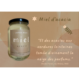 Miel d'acacia - 500g