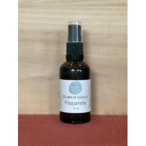 Macérat huileux de pâquerette