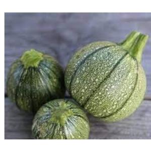Courgette ronde
