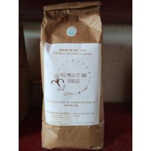 Farine de blé label rouge t65