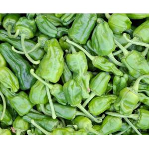 Piments padrón