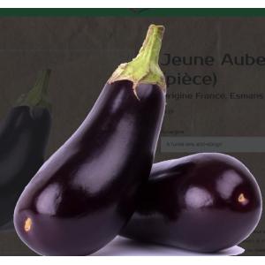 Aubergine
