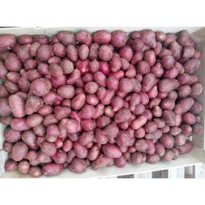 Pomme de terre valery petit calibre