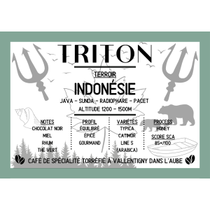 Triton 250g - origine indonésie - moulu