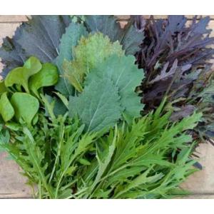 🥗mesclun