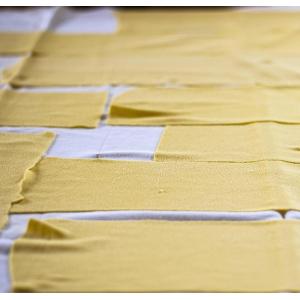 Pâtes à lasagnes fraîches