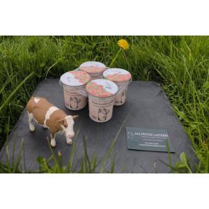 Yaourt brassé fraise au lait entier