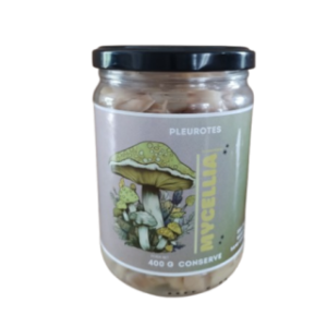 Conserve de pleurotes