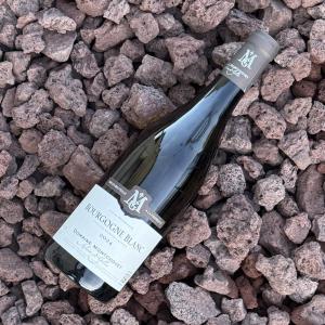 Bourgogne blanc 2024