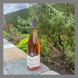 Bourgogne rosé 2023