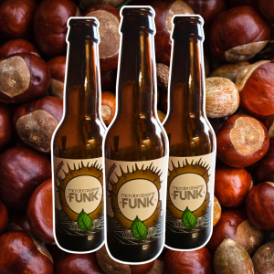 🍺 bière blonde à la châtaigne 🌰