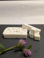 Cheta (type feta)