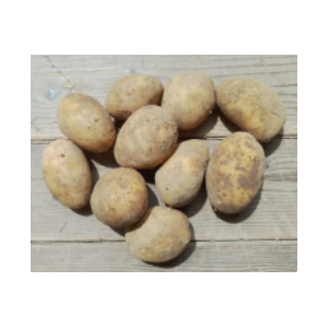 🥔 pommes de terre bio chair tendre - 500g