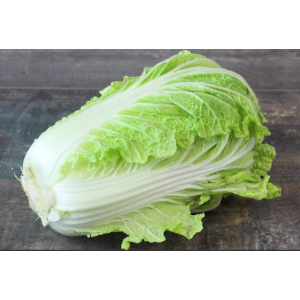 Chou chinois pe tsai