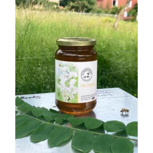Miel d'acacia (500g)