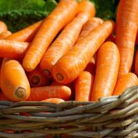 Carottes nouvelles bio