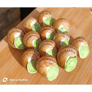 Coquilles d'escargots à la bourguignonne 1dz