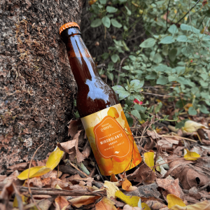 La mirobolante - ambrée à la mirabelle 33cl
