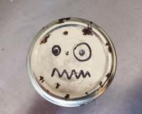 Promo pot moche