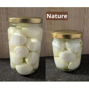 Bocal oeufs nature