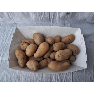 Pomme de terre grenaille