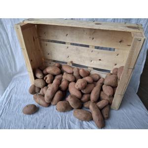 Pomme de terre cherie