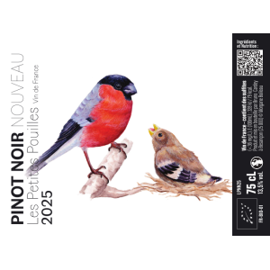 Pinot noir nouveau 2025