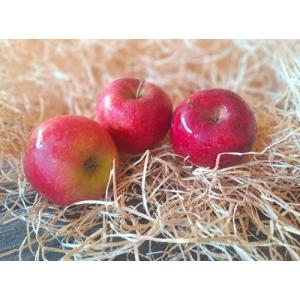 Pommes pink kis betty fidalgo max 1kg