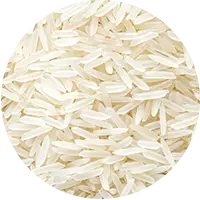 Riz de camargue