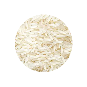 Riz de camargue