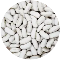 Haricots blanc lingot