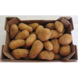 Pomme de terre à chair ferme bio