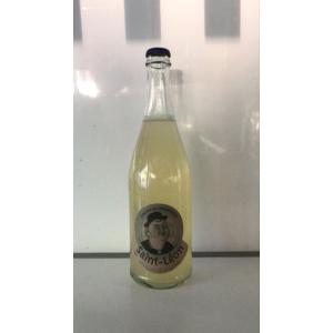 Limonade gingembre bio saint léon 33 cl