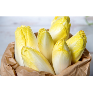 Endives de pleine terre