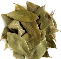 Laurier-sauce - laurus nobilis.feuille entère