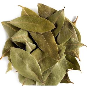 Laurier-sauce - laurus nobilis.feuille entère