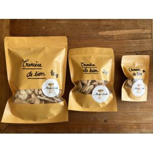 Crinière de lion séchés (hydne hérisson)