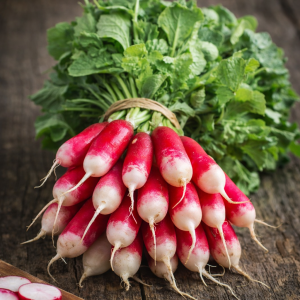 Radis en botte