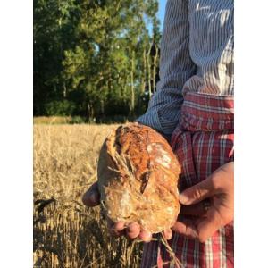 Pain de campagne aux graines bio