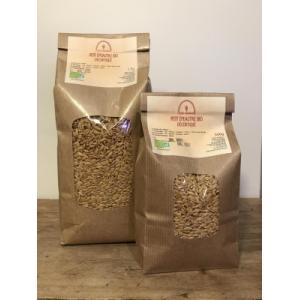 Grains de petit épeautre