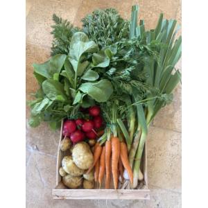 Panier de légumes primeurs du potager
