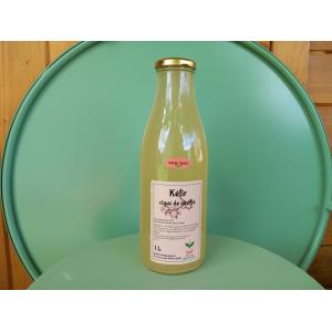 Kéfir de fruits clous de girofle