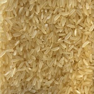 Riz étuvé camarguais