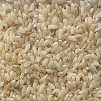 Riz long 1/2 complet