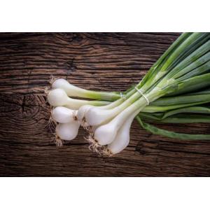 Botte oignons nouveaux