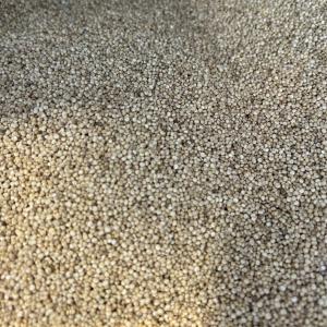 Quinoa