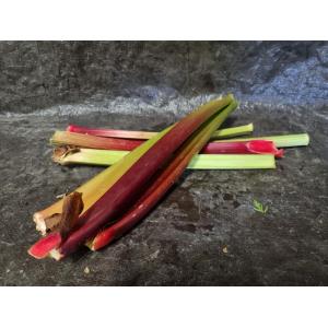 Rhubarbe